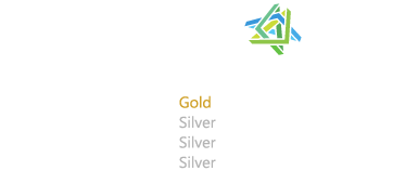 Microsoft partner logo